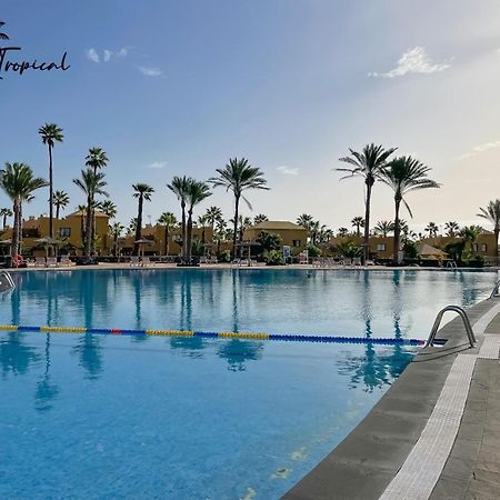 Oasi Tropical Wifi Free By Rentalfue Corralejo Zewnętrze zdjęcie