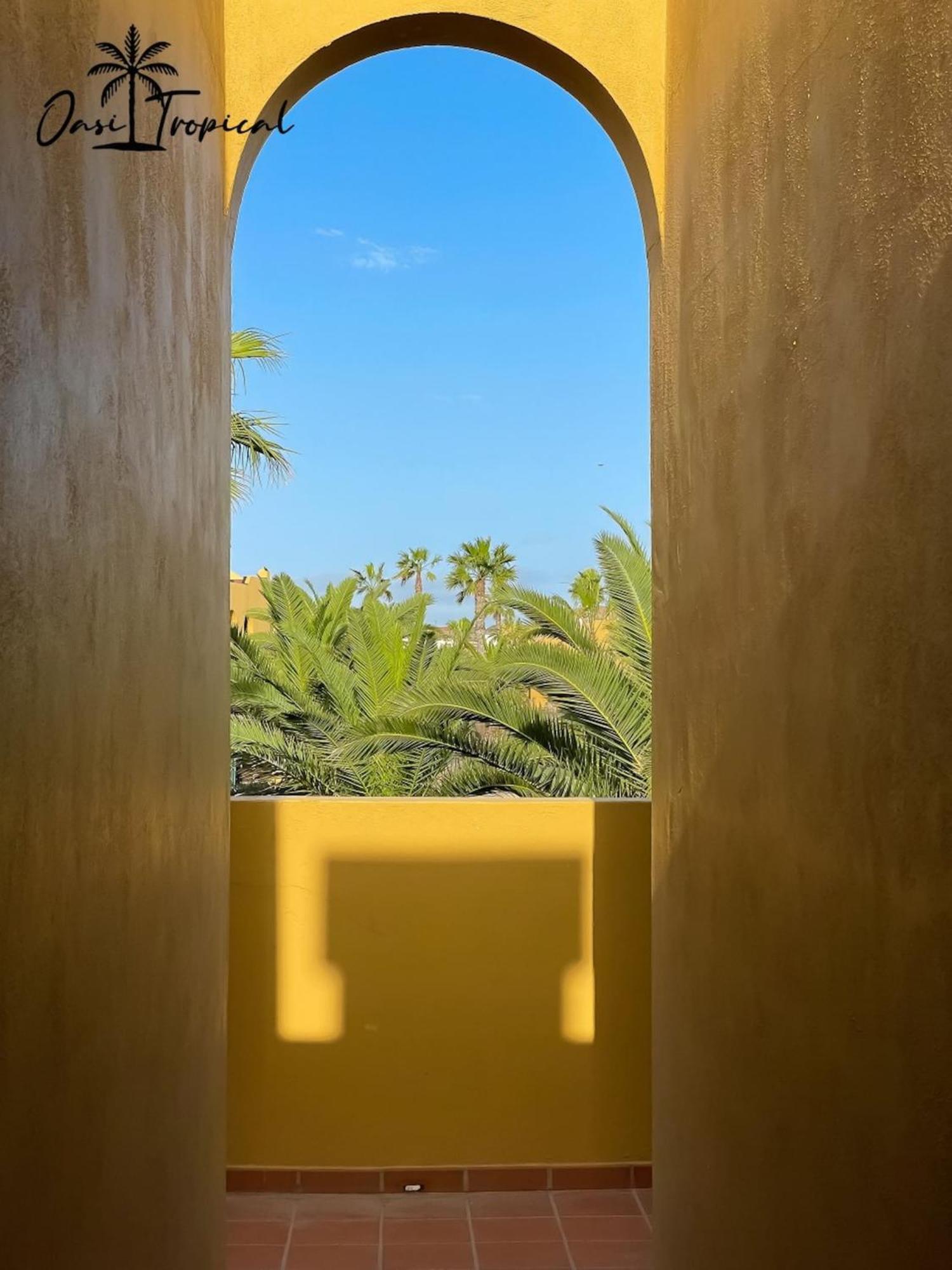Oasi Tropical Wifi Free By Rentalfue Corralejo Zewnętrze zdjęcie