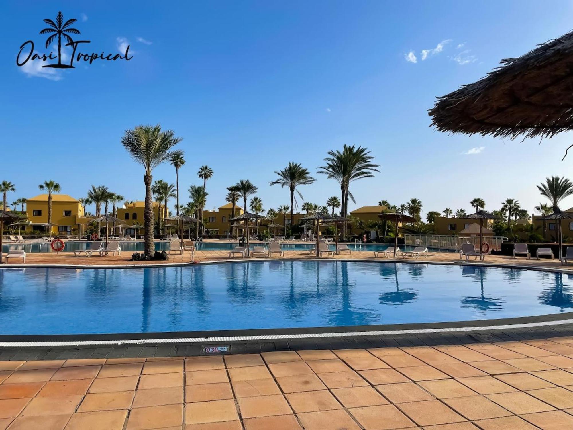 Oasi Tropical Wifi Free By Rentalfue Corralejo Zewnętrze zdjęcie