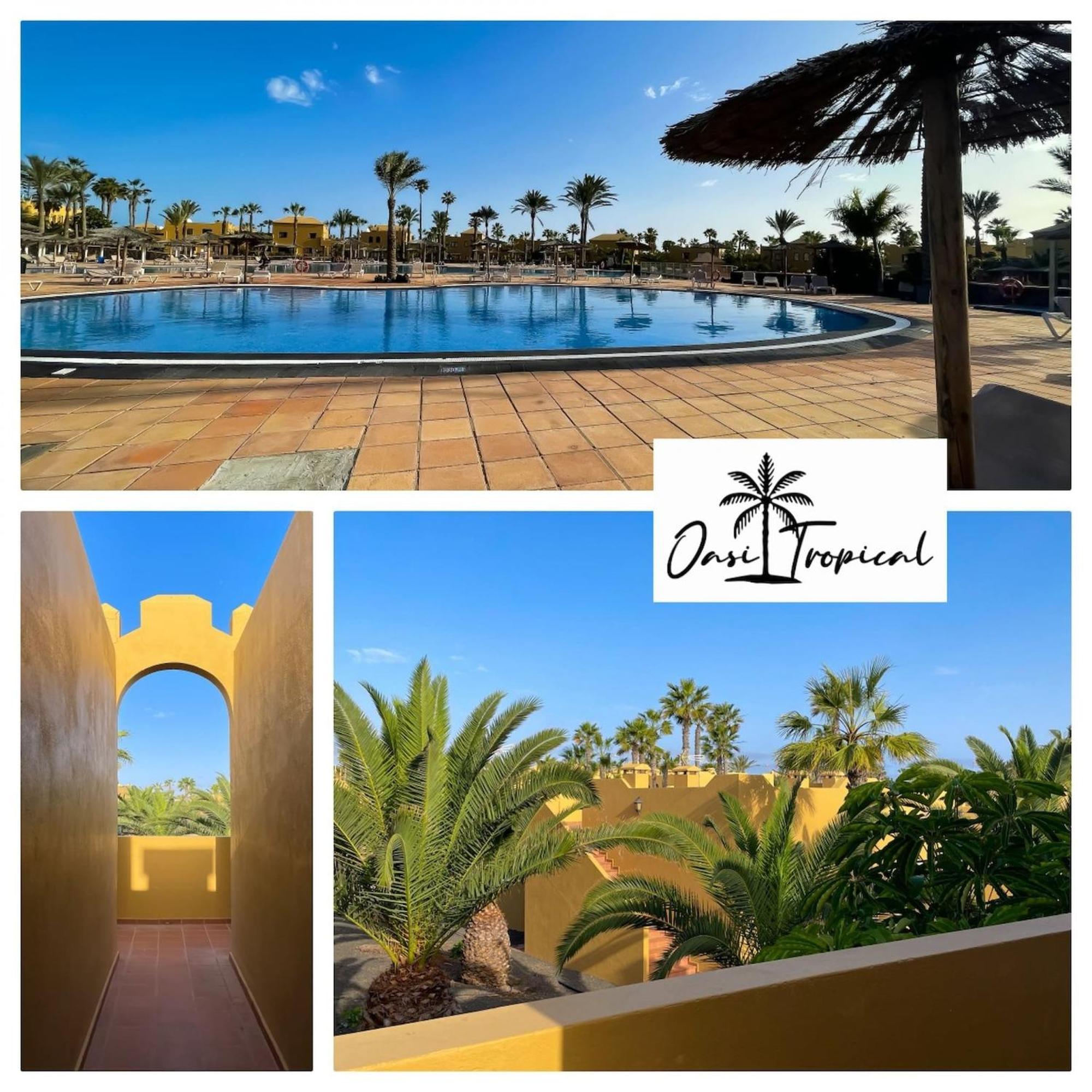 Oasi Tropical Wifi Free By Rentalfue Corralejo Zewnętrze zdjęcie